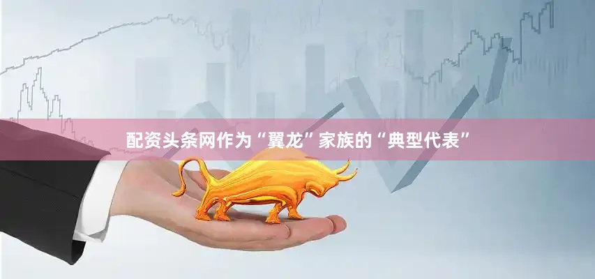 配资头条网作为“翼龙”家族的“典型代表”