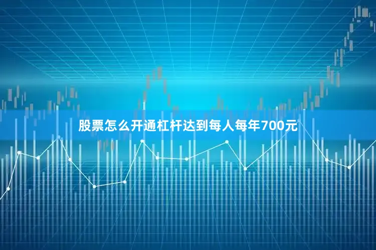 股票怎么开通杠杆达到每人每年700元