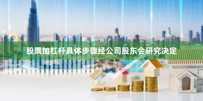 股票加杠杆具体步骤经公司股东会研究决定