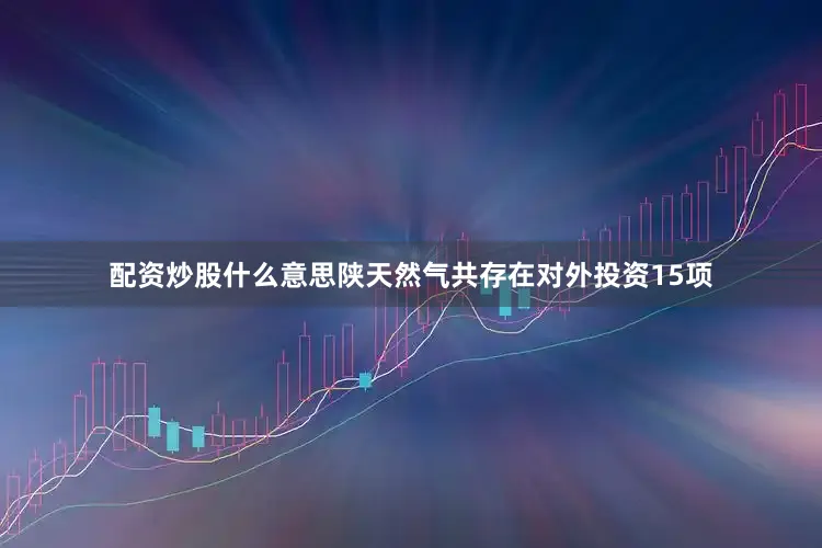配资炒股什么意思陕天然气共存在对外投资15项